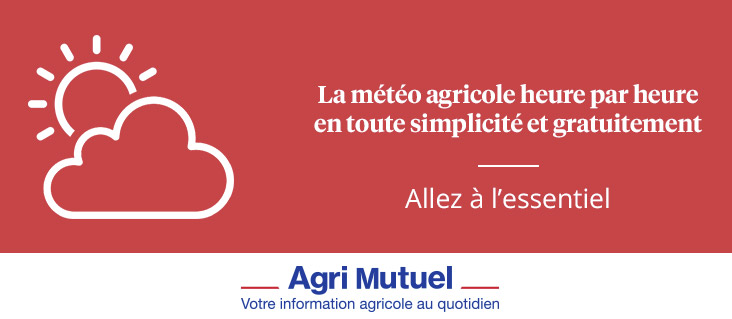 triptique agri Mutuel