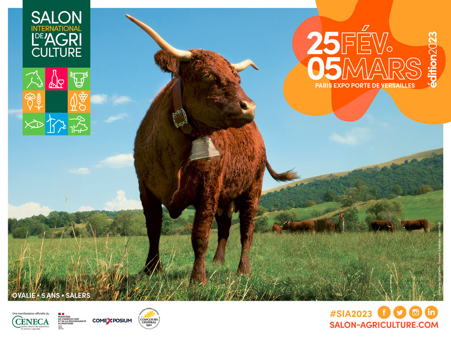 Salon International de l’Agriculture - 25 février au 5 mars - paris expo porte de versailles - édition 2023 - Ovalie - 5 ans - Salers